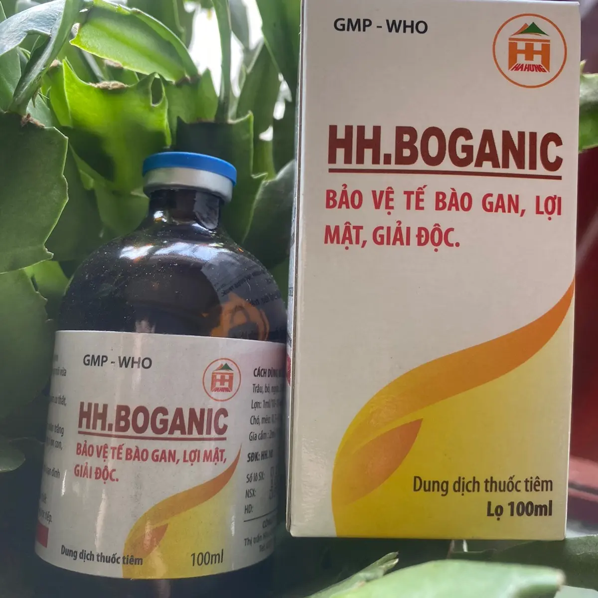 Dung Dịch Giải độc gan 100ml - boganic