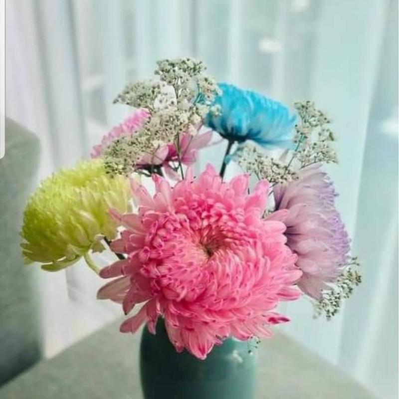 Nước nhuộm hoa tươi The Sodium Israel đổi màu theo ý muốn (Chai 1L nhuộm hơn 250 bông) gồm 12 màu cơ bản 8