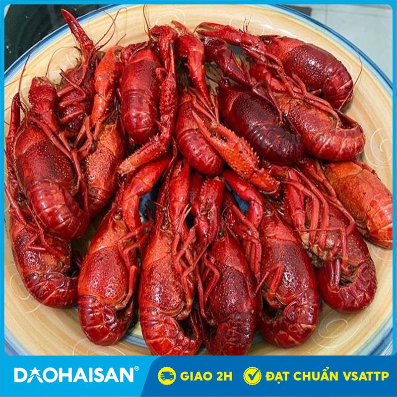 [HCM - Giao 2H]  Tôm Hùm Đất Chín Túi 2.5Kg - Đảo Hải Sản - 0