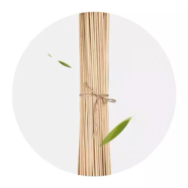 Túi 50 que tre xiên thịt nướng, xúc xích, dài 24cm 3