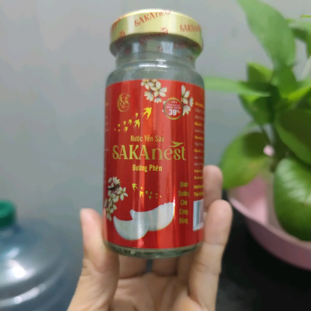 Combo 10 lọ yến chưng Đường Phèn Cao Cấp SaKaNest 150ml- 39% yến tươi ( không hộp)