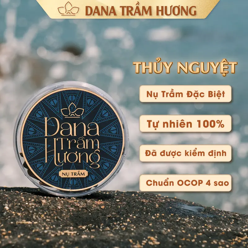 Combo Nụ Trầm Hương Đặc Biệt Tự Nhiên - DANA Thủy Nguyệt - Hỏa Nhật -Thổ Sơn (Nụ Sen), Trầm Sạch, Hương Thơm Ngọt Dịu, Phong Thủy 0