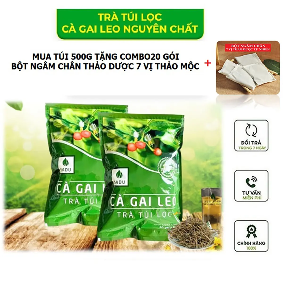Trà Cà Gai Leo Túi Lọc Tiện Dụng Gói 500Gram Tặng 20 Gói Bột Ngâm Chân - Tea Nước Trà Chè