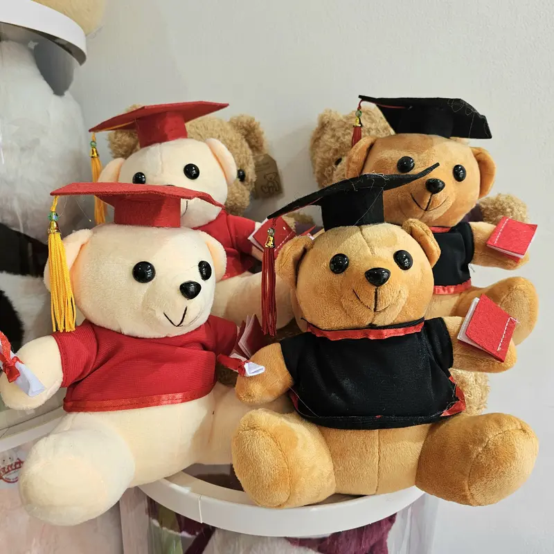 Gấu bông gấu tốt nghiệp gấu cử nhân có ghi tên thú nhồi bông gấu tốt nghiệp dễ thương cute đáng yêu 3
