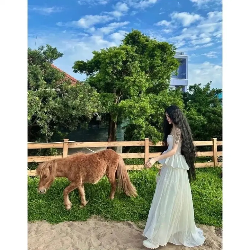 Đầm tùng xoè cotton dày xoè rộng(thân bo chun)rộng xoè dài 1m30cm