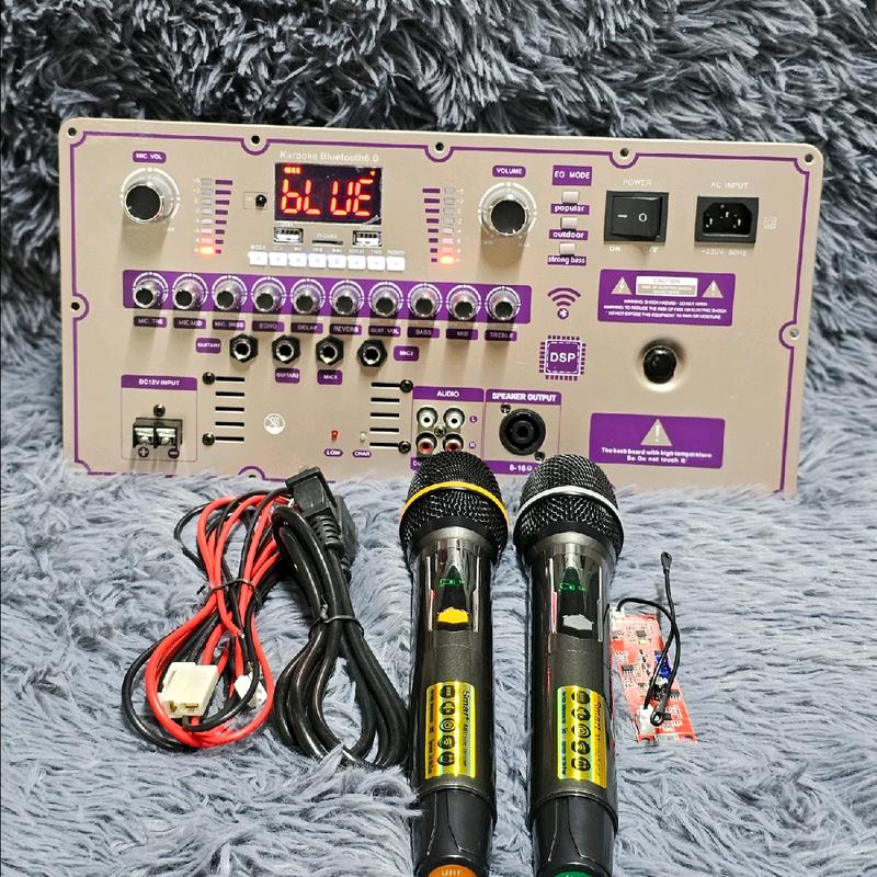 Bo mạch loa kéo H270S công suất lớn lắp ráp âm thanh Phụ Kiện