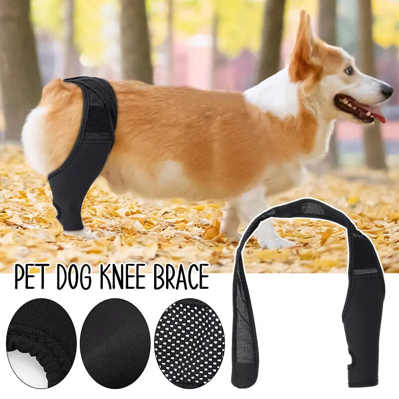 Nẹp Đầu Gối Cho Chó Cưng, Để Bong Gân Và Viêm Khớp, Hỗ Trợ Nẹp Chân Sau, Cho Chó, Giảm Đau Khớp 1