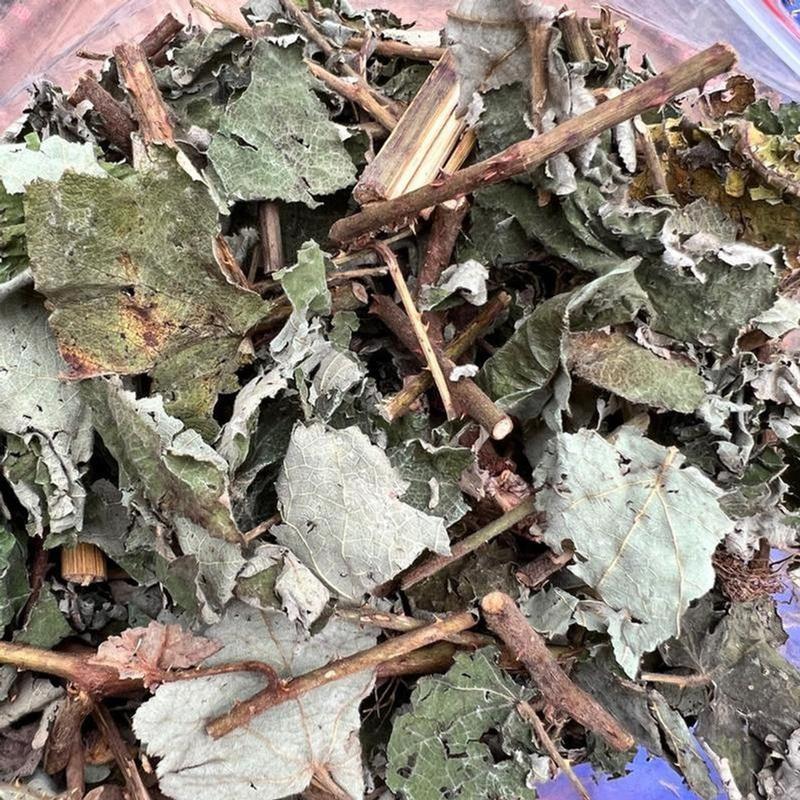 500g Trà lá mâm xôi khô Tea Nước Trà Chè 2