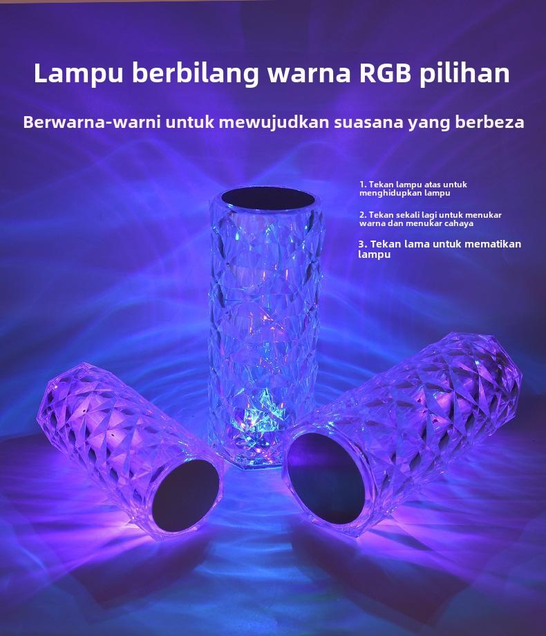 Product Introduction of Luxury Night lights with new rose atmosphere lights 4