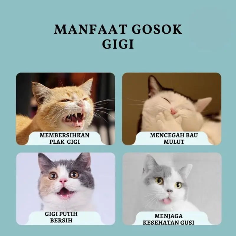 4in1 Set Sikat Gigi dan Odol Anjing Kucing Dog Tooth Brush and Paste Membantu Membersihkan Kotoran dan Plak Gigi Hewan Peliharaan FEFARM 5