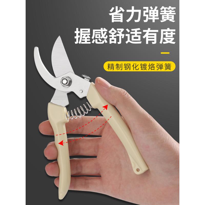Stainless Steel Branch Pruning Shears For Picking Fruits And Flowers, Garden Fruit Tree Flower Grafting Tools 3