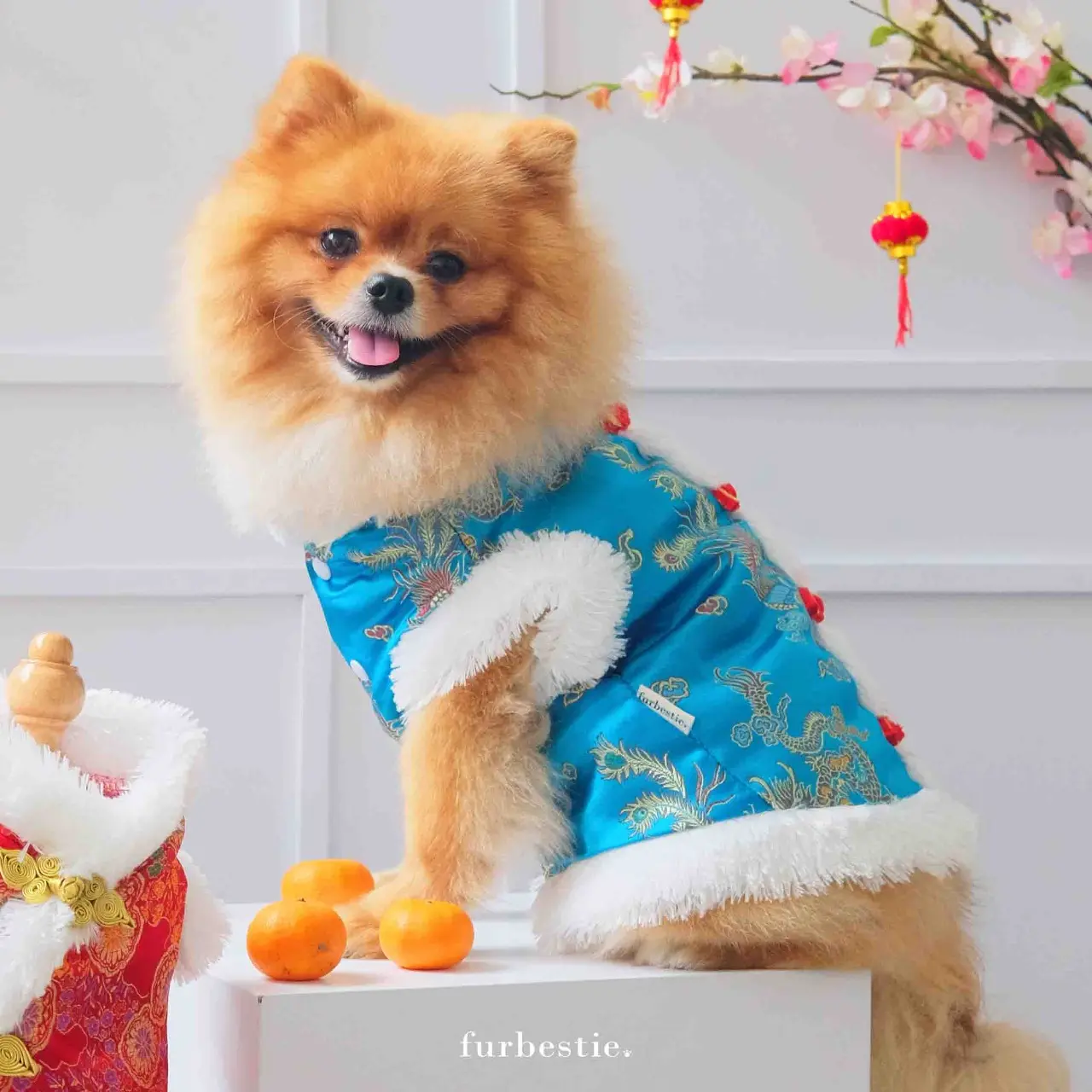 Furbestie by Pomapoo - Baju Kucing dan Baju Anjing Furry Changsan Turqouise dan Furry Cheongsam Dress