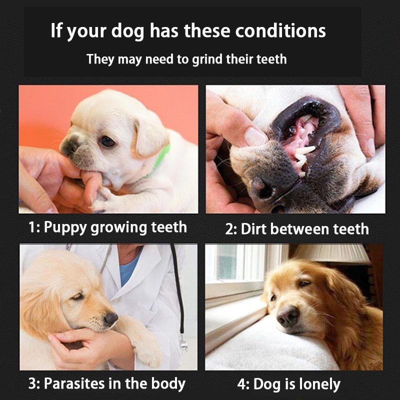 Dentalstick untuk Anjing - Dog Treats - Snack Anjing - Pembersih Gigi Anjing - Penghilang Bau Mulut dan Gigi Anjing tongkat tumbuh gigi anjing 5