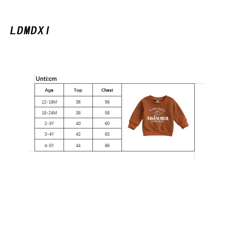 Product Introduction of Kids Halloween Sweatshirt Pumpkin Letter Print Long Sleeve Pullovers 0