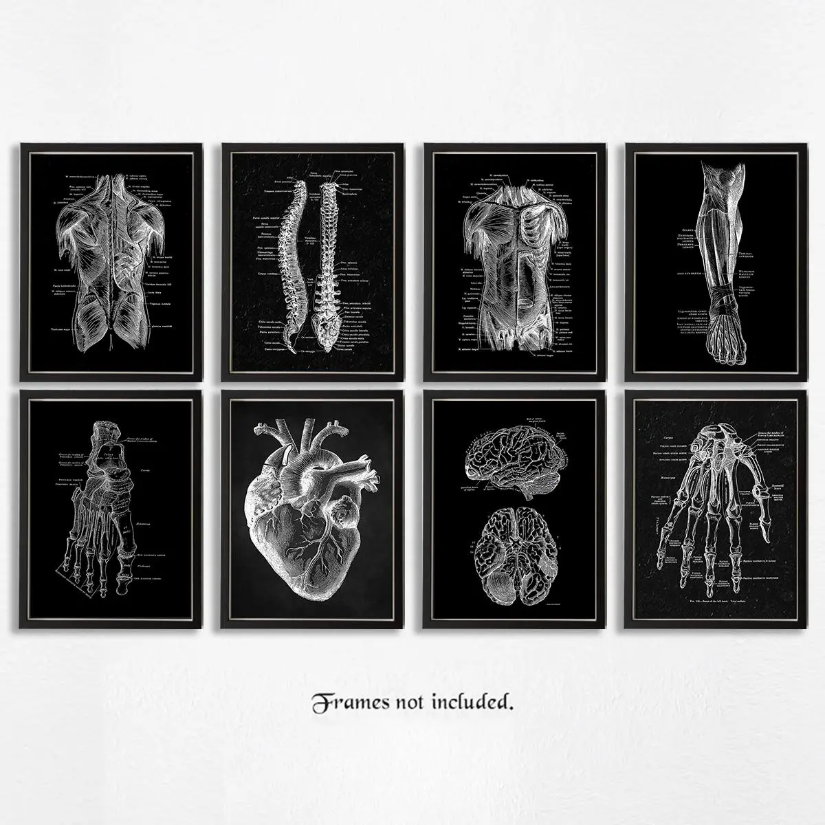 Skeleton Anatomy Pattern Unframed Painting, 8pcs/set Vintage Simple Canvas Medical Wall Art Poster, Wall Art Decor for Home Classroom Office, Home Decor