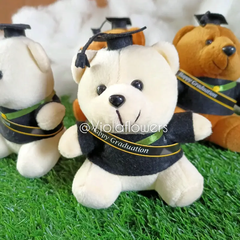 Boneka wisuda Teddy bear tinggi -/+15 cm 1