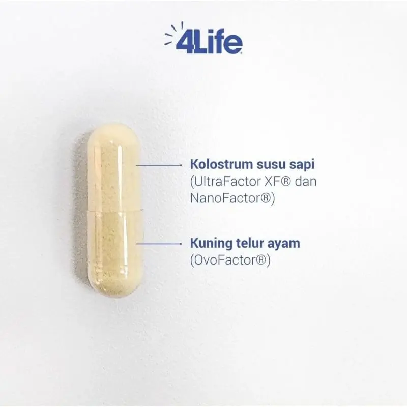 PROMO 5.5 | 4LIFE TRANSFER FACTOR TRI-FACTOR FORMULA EXP 05/2026 ECER 10 KAPSUL / 1 BOTOL ISI 60 KAPSUL 2