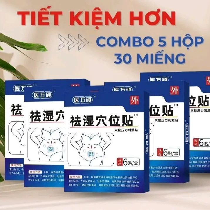 ( Combo 5 Hộp ) Miếng Dán Nội Địa - hộp 6 miếng