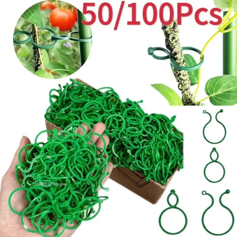 Planting Lock 50/100pc Garden Plant Support Clips Orchid Flower Ties Vegetables ...