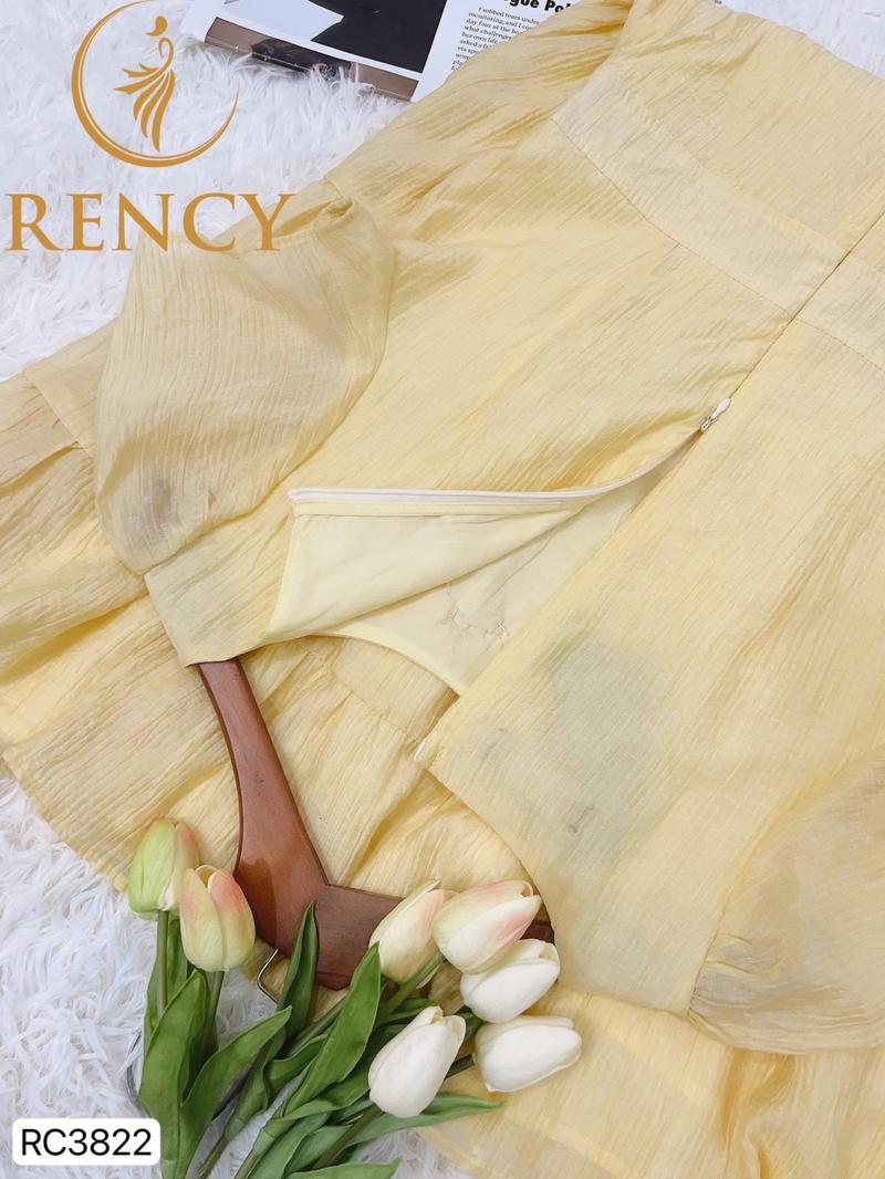 Product Introduction of RC3822 đầm thiết kế cc 3
