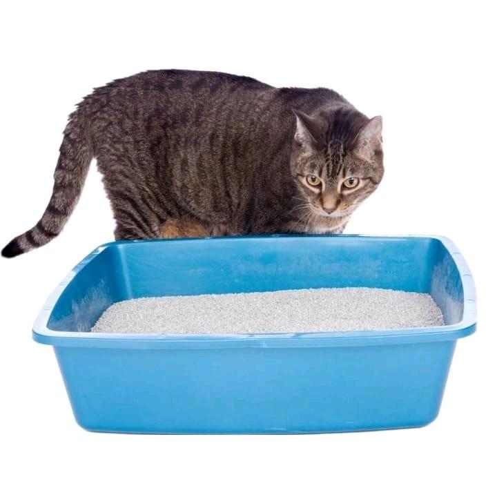 SPRAY PENGHILANG BAU KOTORAN HEWAN KUCING ANJING KELINCI ANTI BAKTERI 3