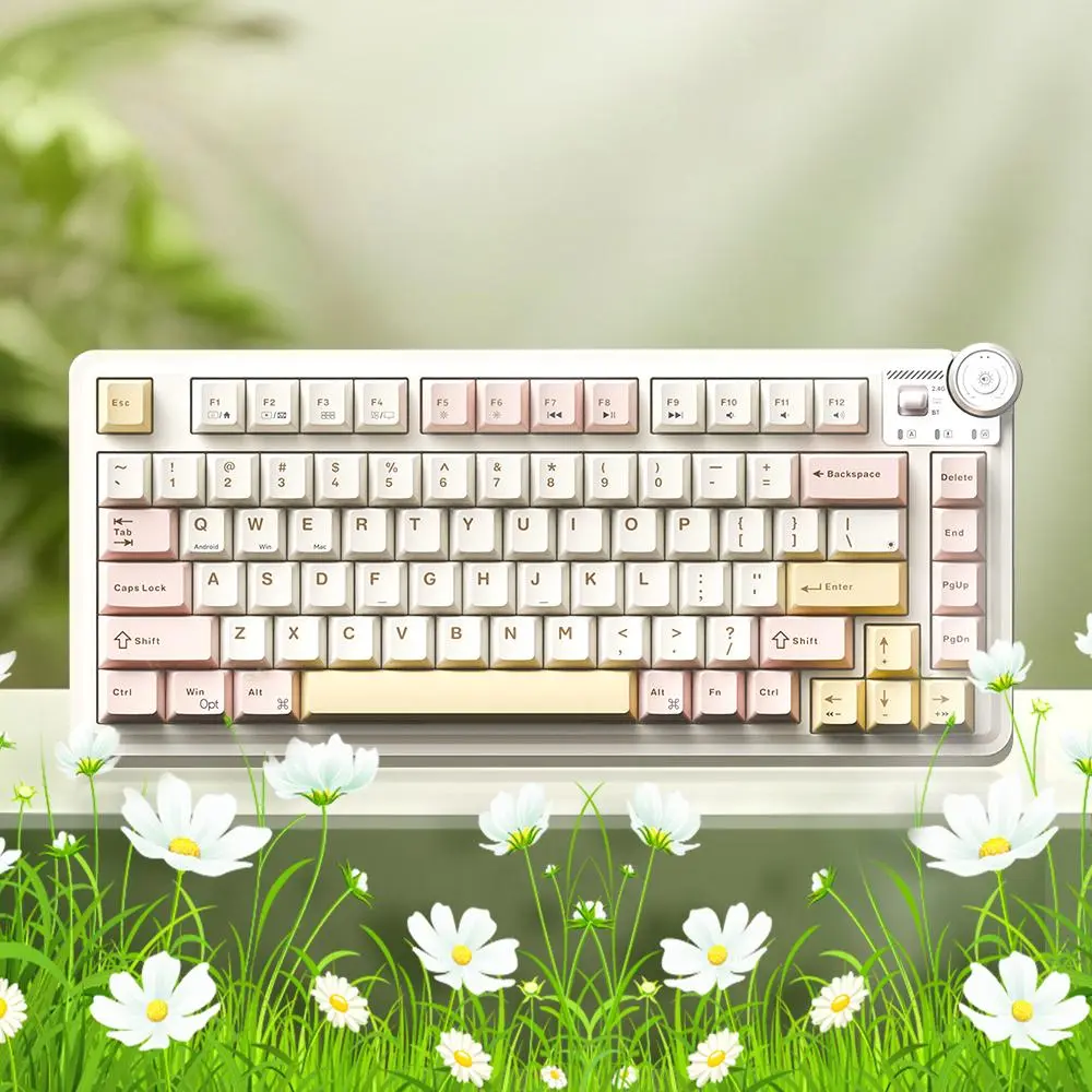 MK75 Wireless Keyboard, 81 Key Gasket Structure Keyboard with RGB Backlight, Universal Rechargeable Ergonomic Keyboard for Tablet & Laptop