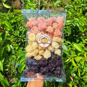 Rengginang Mentah Mini Puspa Rasa Khas Bandung Rasa Terasi Udang Ketan Hitam Bawang Putih Dan Mix