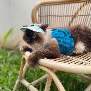 Topi kucing karakter buat