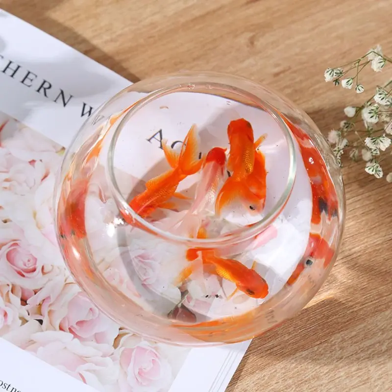 Bể Cá Tròn Trong Suốt, Trang Trí Nội Thất, Cầm Tay, Bát Cá Nhỏ Đèn Nhựa, Bát Bể Cá Để Bàn Thích Hợp Sử Dụng Tại Nhà Văn Phòng 6