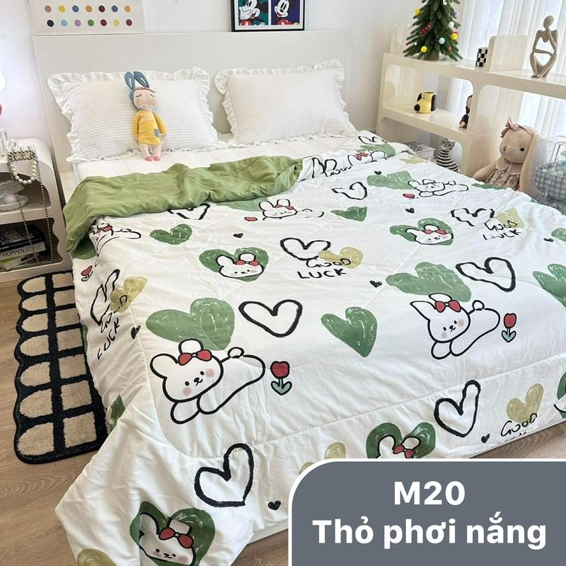 Product Introduction of Chăn hè xơ đậu nành 11