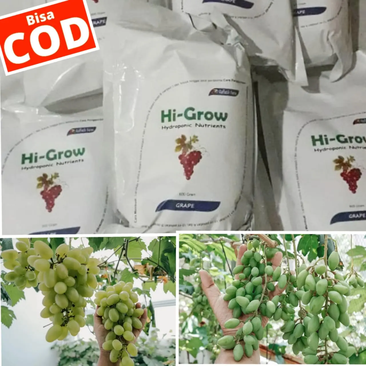 Pupuk Anggur Hi-Grow Nutrisi AB Mix Hidroponik Tanaman Anggur, Pupuk Tabulampot anggur Anggrek