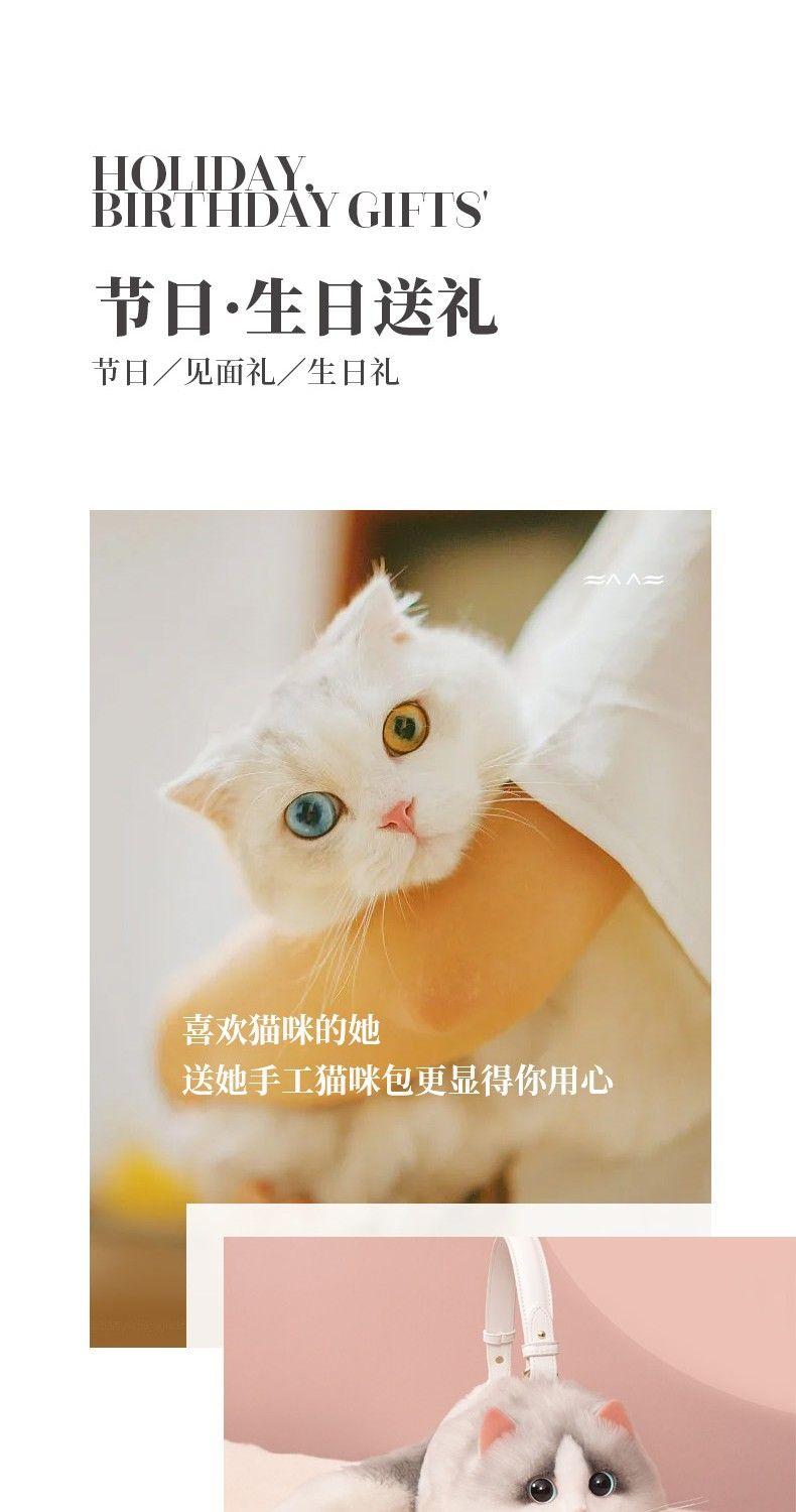 Product Introduction of This Year's Popular Bag Small Bag Niche 2022 Super Hot All-Match Western Style Mobile Phone Bag New Internet Celebrity Chain Messenger Bag 13
