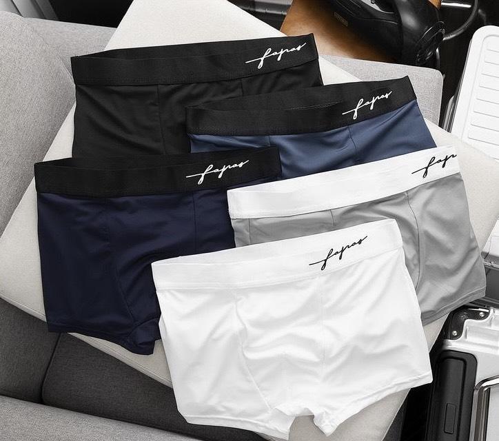 Sét 5 quần sịp đùi Boxer chữ kí góc trái Quần Boxer Thun lạnh co dãn thoáng mát Quần Lót Nam kháng khuẩn Tre Menswear