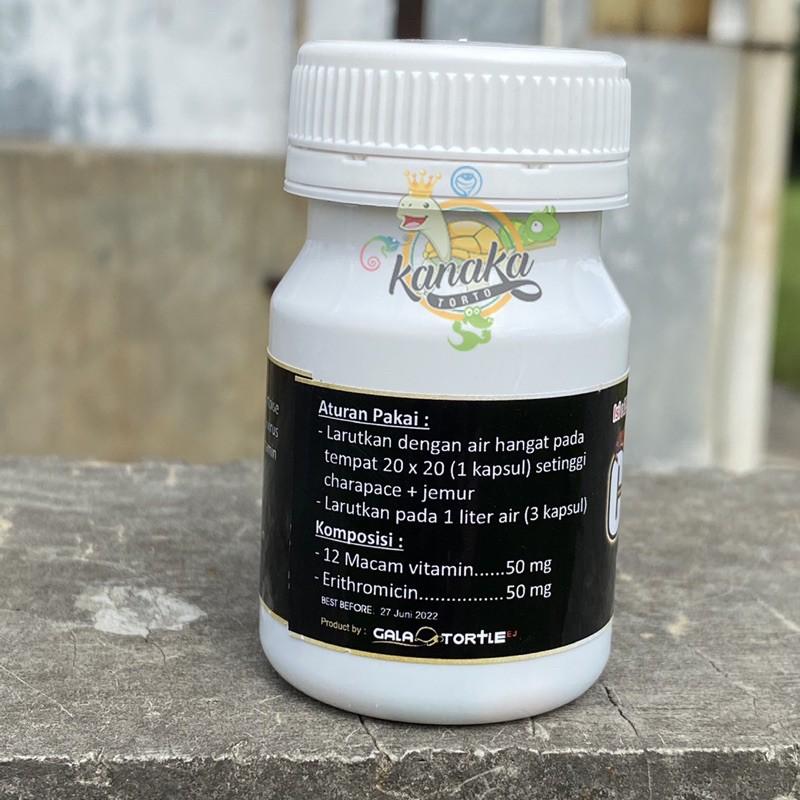 Capsule Plus Reptile Isi 50 Kapsul 2