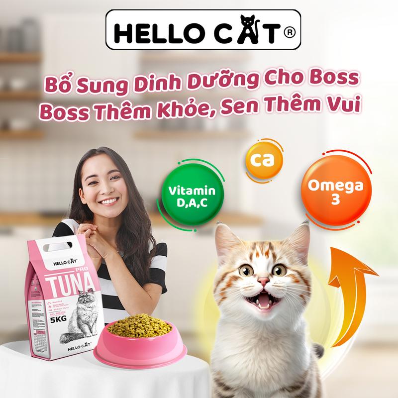 Hạt HELLO CAT SALMON Thức Ăn Cho Mèo - Túi 5kg cat  food 3