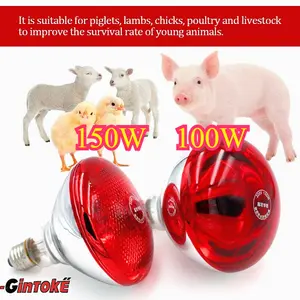 100Watt/150Watt/Lampu Penghangat Hewan Peliharaan Premium/Lampu Penghangat Hewan Lampu Pemanas Infrared Anak Ayam Babi Sapi Kambing Anjing Kucing (Otomatis Mati Saat Overheat)