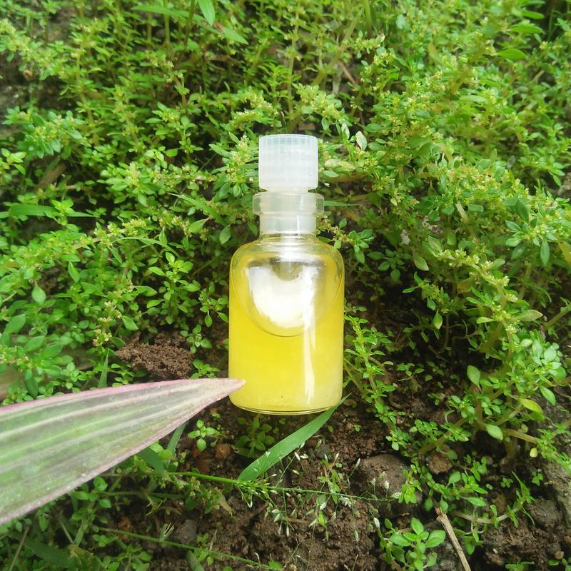 PARFUM MINYAK AROMA WANGI MG 1
