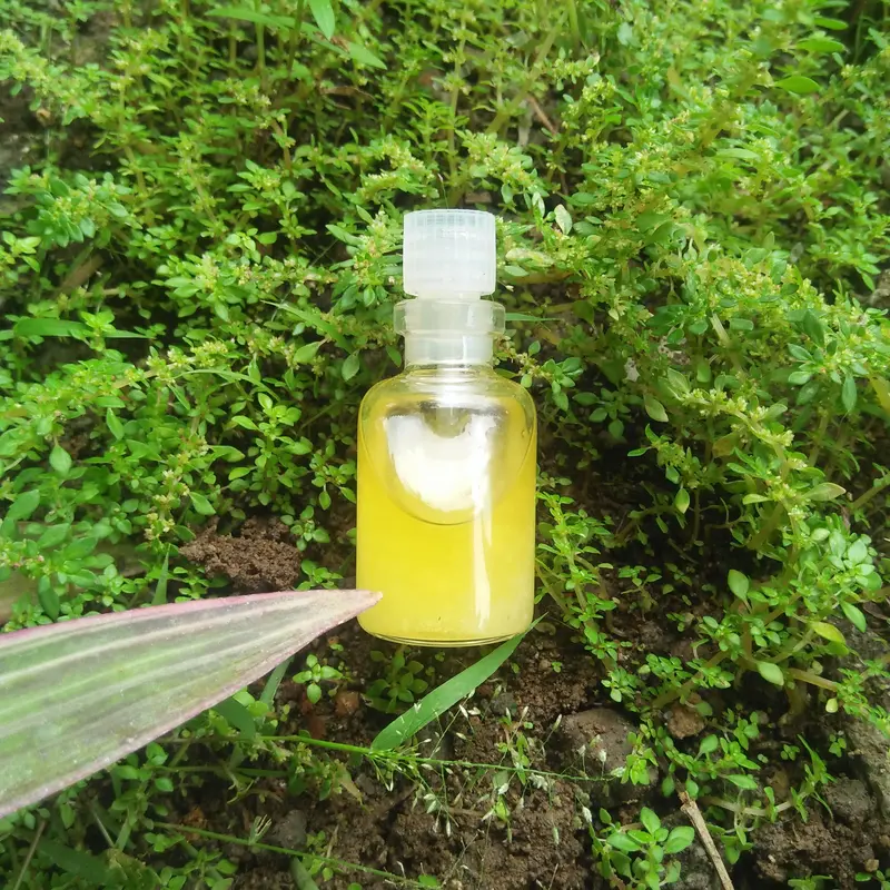 PARFUM MINYAK AROMA WANGI MG 1