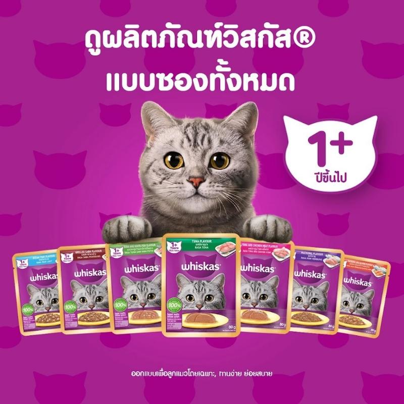 Product Introduction of (52) วิสกัส จูเนียร์ รสปลาทะเล พร้อมพ็อกเก็ตรสนม อาหารแมว ทดลองทาน 50ก. 5