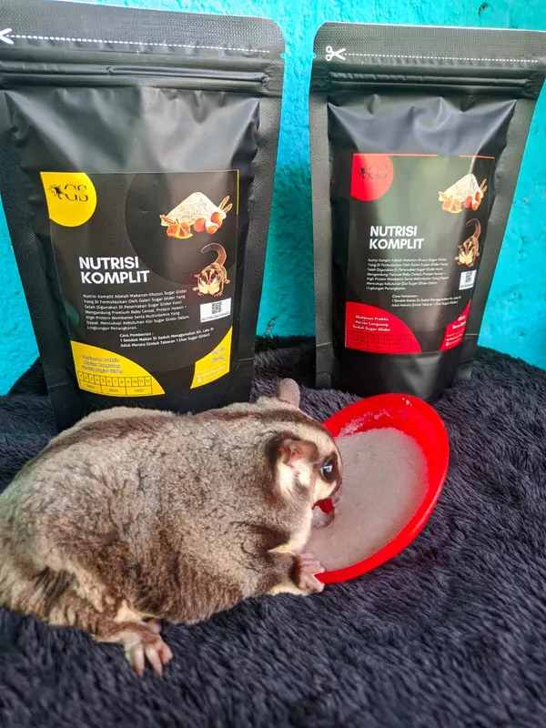 Nutrisi Komplit Makanan Praktis Harian Langsung Seduh Sugar Glider 500gr 4
