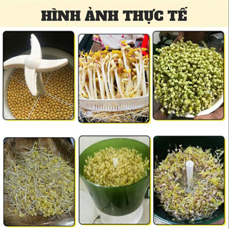 Đậu xanh nguyên hạt 1kg - Hạt thuần chủng, nảy mầm cao, an toàn cho sức khỏe 5