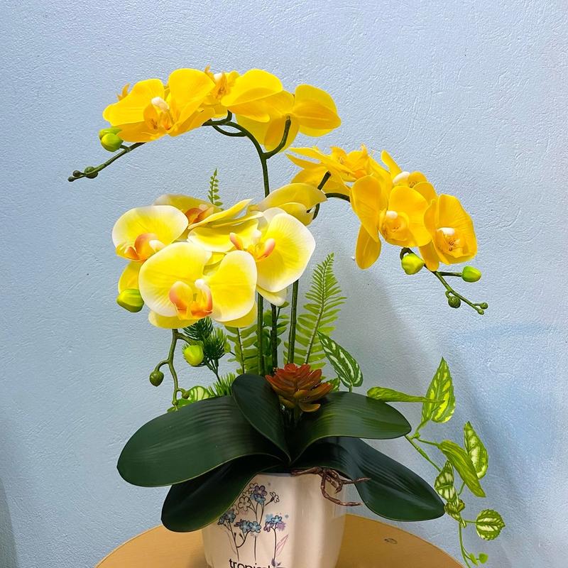 Hoa Giả - Chậu Hoa Lan Hồ Điệp 3 nhánh Decor Trang Trí Để Bàn Decor Phòng Decor Bàn