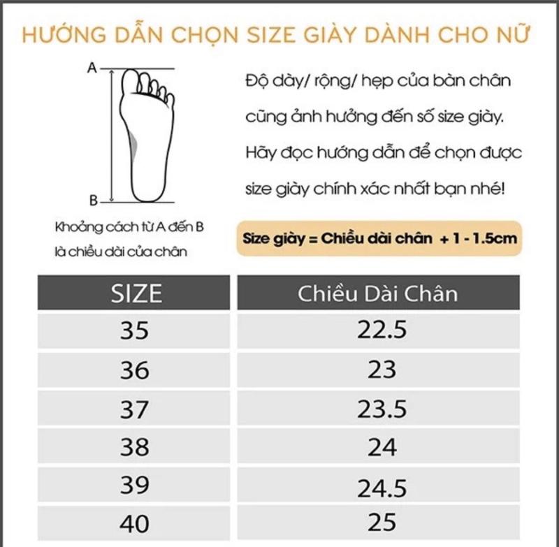 Product Introduction of Giày cao gót 5p quai nhún DéP Shoes 0