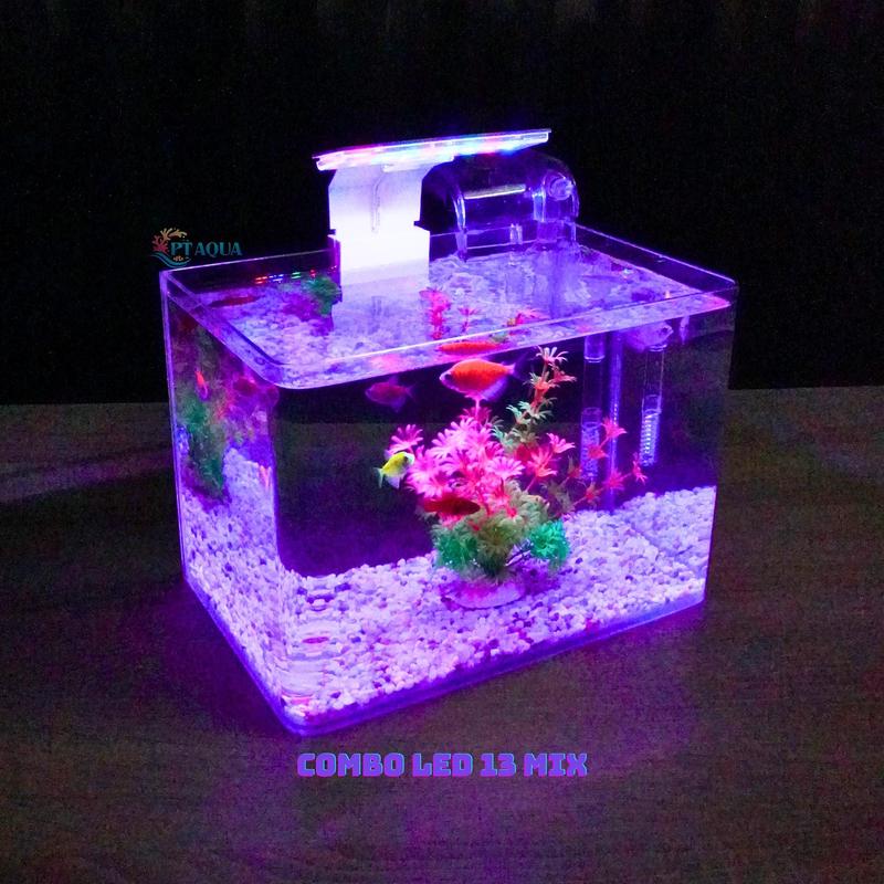 Bể cá mini Đúc 25x16x18 uốn cong nhiều mẫu COMBO để bàn Bể cá cảnh mini phong thủy để bàn