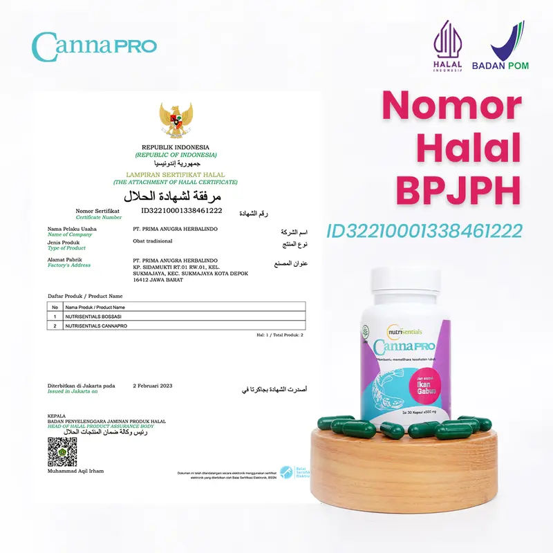 Bundling Cannapro 10 Kapsul - Suplemen Kesehatan, Membantu Luka Pasca Operasi, - HALAL & BPOM MUI 4