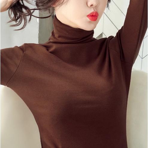Product Introduction of Áo thu cổ lọ hang quảng châu chất mịn 2