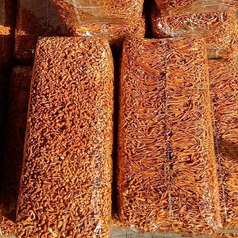 Đông Trùng Hạ Thảo Sấy Khô 100gr 3