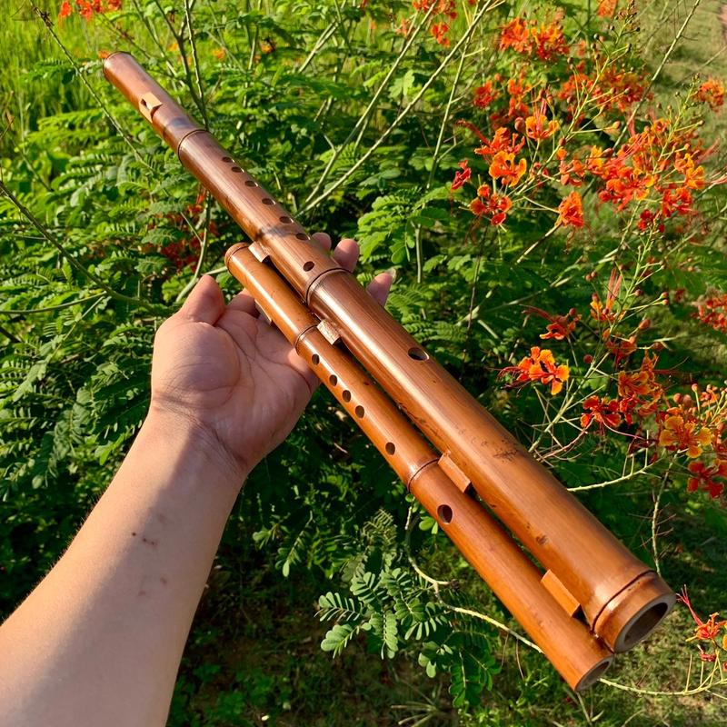  Sáo Mèo Kép Trúc Hun - Trúc Cao Bằng Hun Khói 