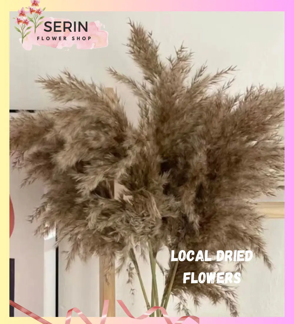 Pampas fluffy / dried flowers/ local dried flowers/ boho wedding/ home decorations/ bridal bouquet