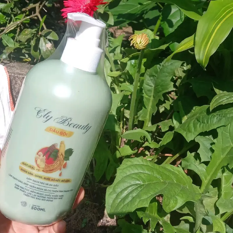 Dầu gội Ely Beauty làm sạch gàu , giúp ngăn ngừa và cải thiện tình trạng tóc cho mái tóc mềm mượt, chắc khỏe hơn.góp phần lưu hương thơm dịu nhẹ trên tóc. 3